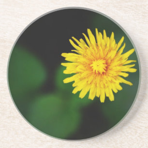 Posavasos De Arenisca La montaña rusa de arena de Dandelion