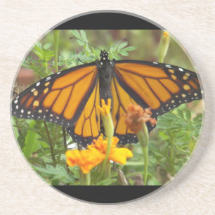 Posavasos De Arenisca La montaña rusa de la mariposa de mi monarca