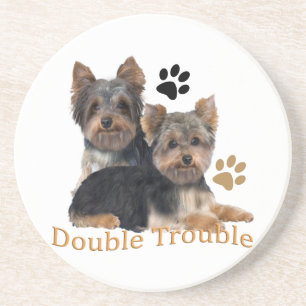 Posavasos De Arenisca La montaña rusa del doble problema de Yorkie