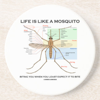Posavasos De Arenisca La vida es como un mosquito que le muerde cuando
