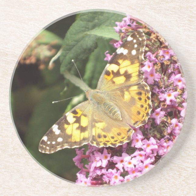 Posavasos De Arenisca Lady Butterfly pintada (Frente)