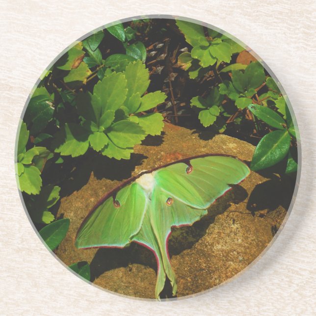 Posavasos De Arenisca Lágrima luna verde gigante (Frente)