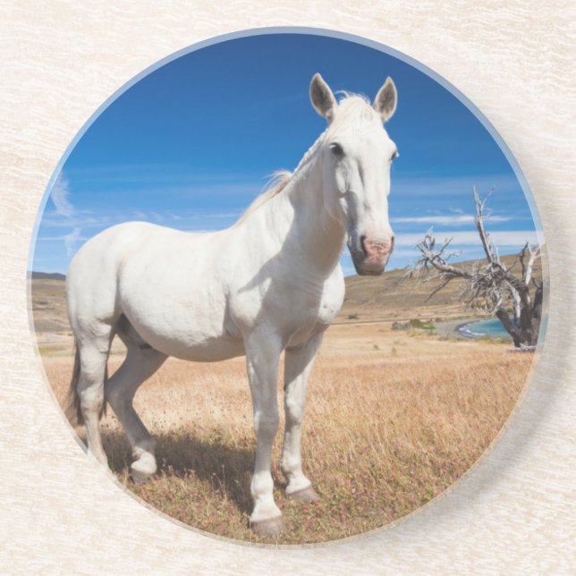 Posavasos De Arenisca Laguna Azul, paisaje con caballos (Frente)