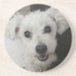 Posavasos De Arenisca Lambchop II