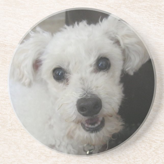 Posavasos De Arenisca Lambchop II (Frente)