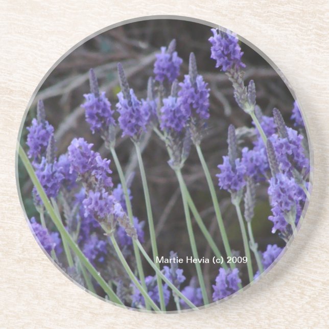 Posavasos De Arenisca Lavanda - Aceite (Frente)