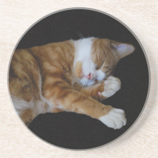 Posavasos De Arenisca Lazy Ginger cat