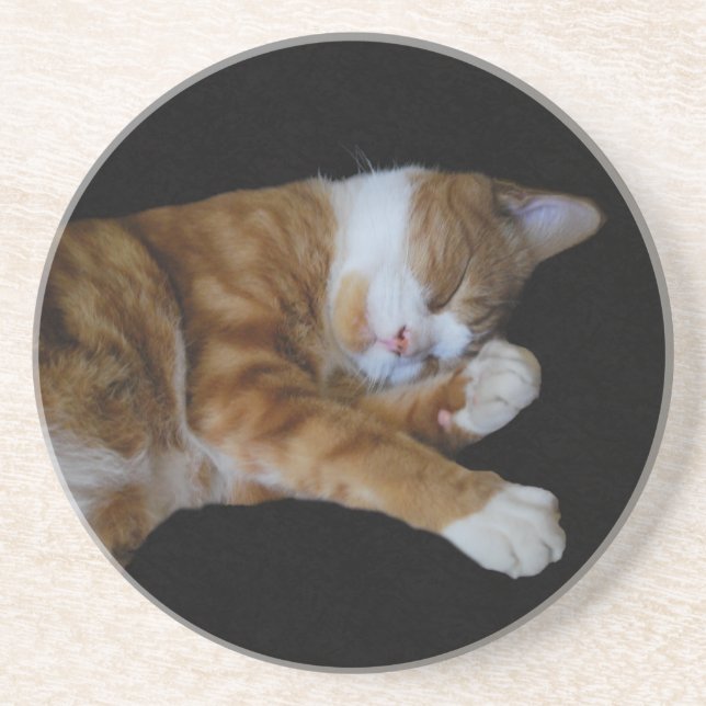 Posavasos De Arenisca Lazy Ginger cat (Frente)
