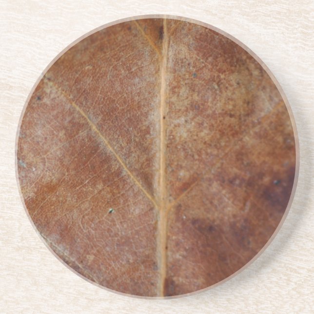 Posavasos De Arenisca Leaf Coaster (Frente)