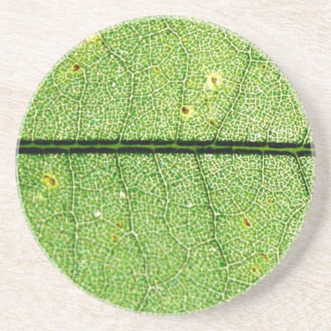 Posavasos De Arenisca Leaf verde extremo (Frente)