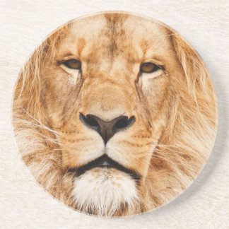 Posavasos De Arenisca León