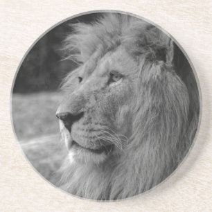 Posavasos De Arenisca León blanco y negro - Animal salvaje