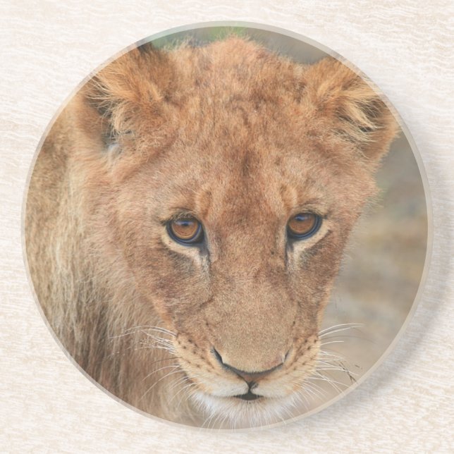 Posavasos De Arenisca León Cub (Frente)