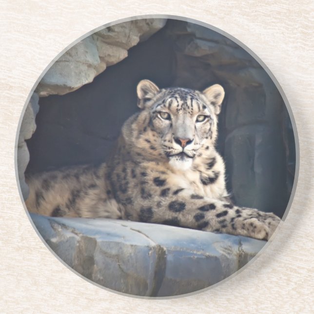 Posavasos De Arenisca Leopardo de la nieve (Frente)