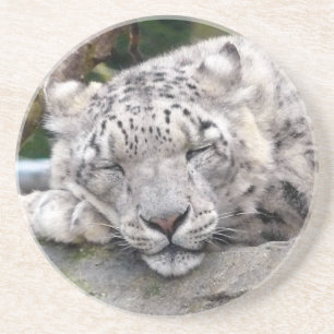 Posavasos De Arenisca Leopardo de la nieve - ¡hermoso!
