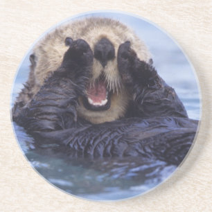 Posavasos De Arenisca Linda nutria marina Alaska, EE. UU.