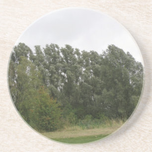 Posavasos De Arenisca Línea de árboles inclinados Ataques panorámicos