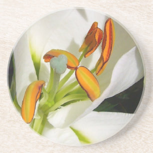 Posavasos De Arenisca Lirio blanco