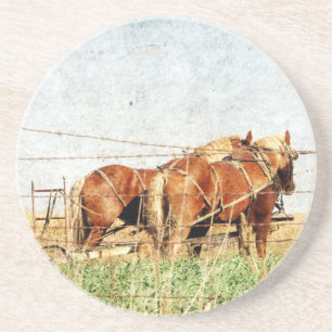Posavasos De Arenisca Listo Para El Trabajo, Dos Caballos Borradores