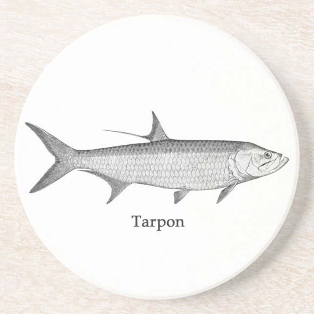 Posavasos De Arenisca Logotipo del tarpón (línea arte) (Frente)