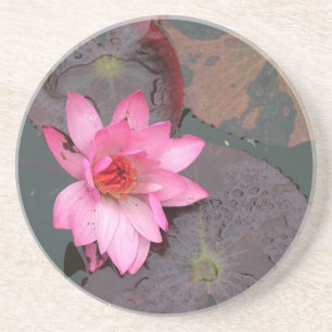 Posavasos De Arenisca loto rosa,nenúfar