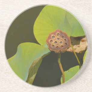 Posavasos De Arenisca Lotus Pod y Lilly Pad
