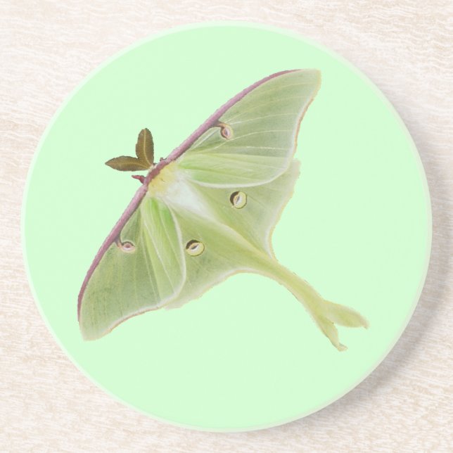 Posavasos De Arenisca Luna Moth (Frente)