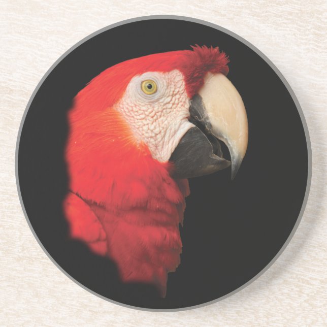 Posavasos De Arenisca macaw del escarlata (Frente)