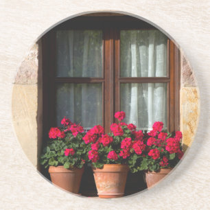 Posavasos De Arenisca Macetas de flores en la ventana en el pueblo