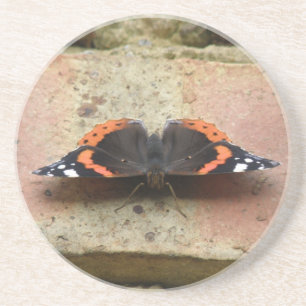 Posavasos De Arenisca Maestros de mariposa del Almirante Rojo