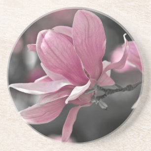 Posavasos De Arenisca Magnolia de Saucer Rosa Japonesa