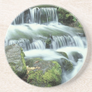 Posavasos De Arenisca Manantial de helechos, Parque Nacional Yosemite