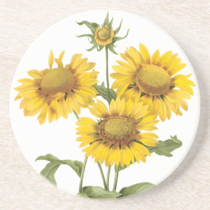 Posavasos De Arenisca Manta Floral Vintage Flor de Girasol por Redoute