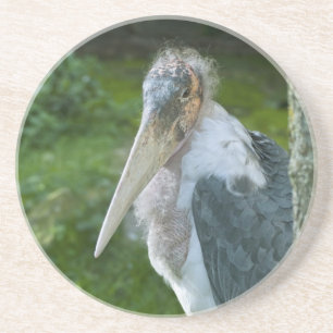 Posavasos De Arenisca Marabou