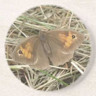 Posavasos De Arenisca Marinas de mariposa marrón para mujeres