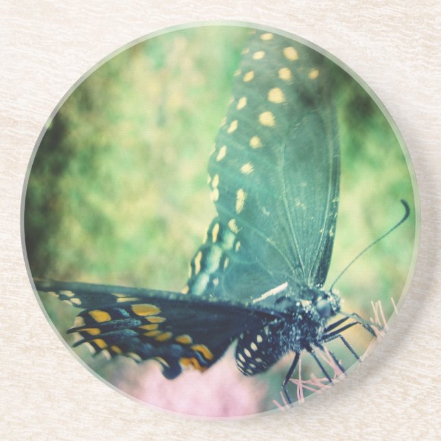 Posavasos De Arenisca Mariposa (Frente)