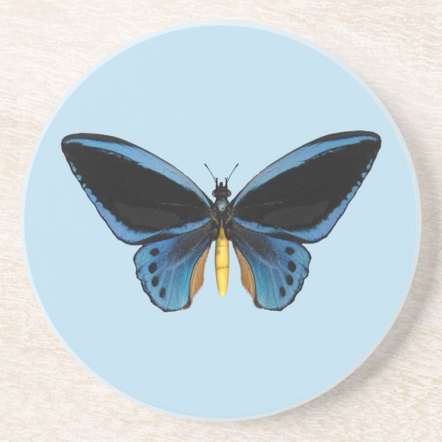 Posavasos De Arenisca Mariposa Ala de Pájaro (Frente)