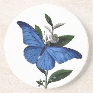Posavasos De Arenisca Mariposa azul