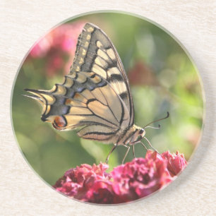 Posavasos De Arenisca Mariposa de cola cruda amarilla