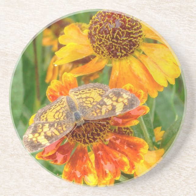 Posavasos De Arenisca Mariposa de la luna de la Perla en Sneezeweed (Frente)