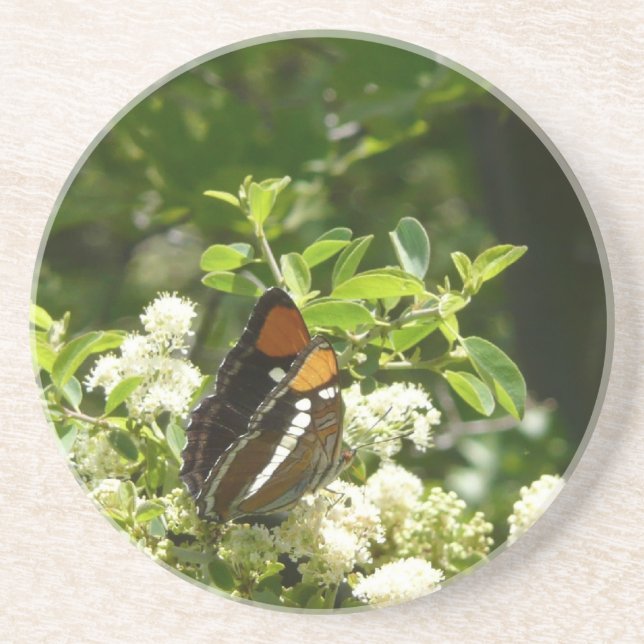 Posavasos De Arenisca Mariposa Hermana de California en Yosemite (Frente)