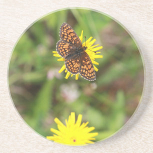 Posavasos De Arenisca Mariposa - ¡Hermosa!