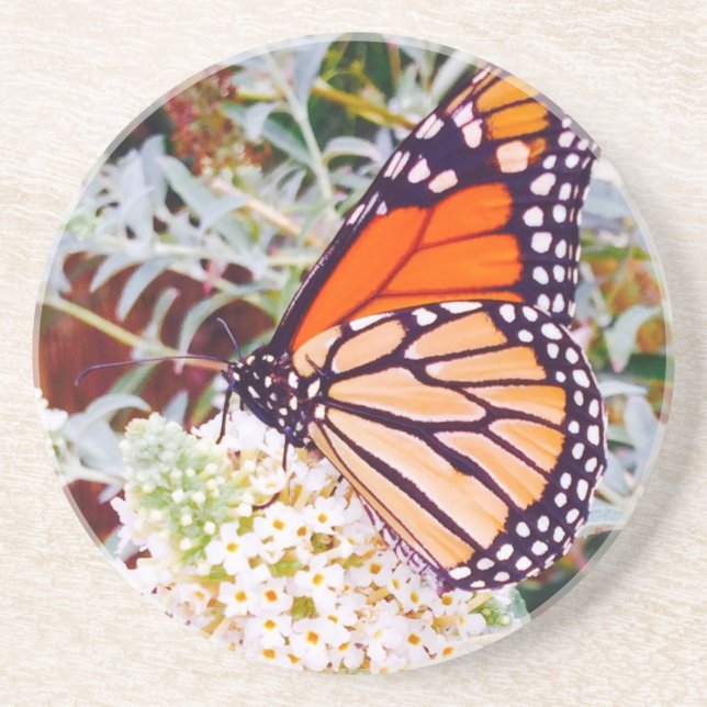 Posavasos De Arenisca Mariposa monarca (Frente)