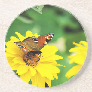 Posavasos De Arenisca Mariposa - Monastre
