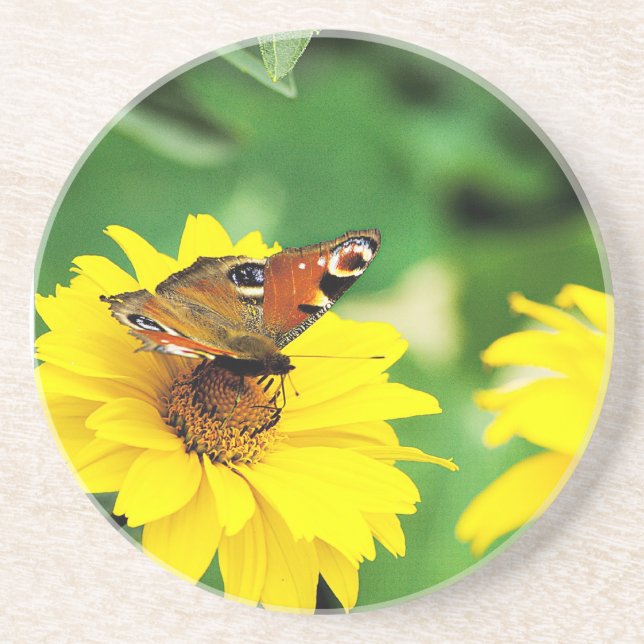 Posavasos De Arenisca Mariposa - Monastre (Frente)