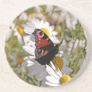 Posavasos De Arenisca Mariposa negra púrpura roja sobre margaritas