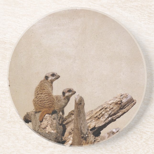 Posavasos De Arenisca Meerkat Lookout (Frente)