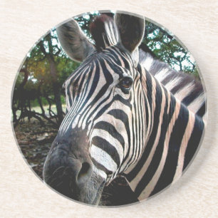 Posavasos De Arenisca Mi amigo strippy