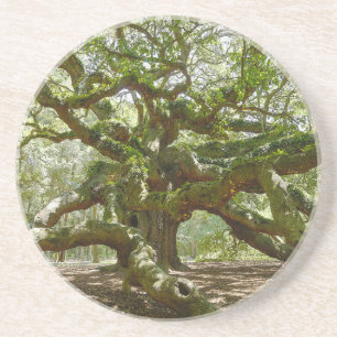 Posavasos De Arenisca Mighty Angel Oak