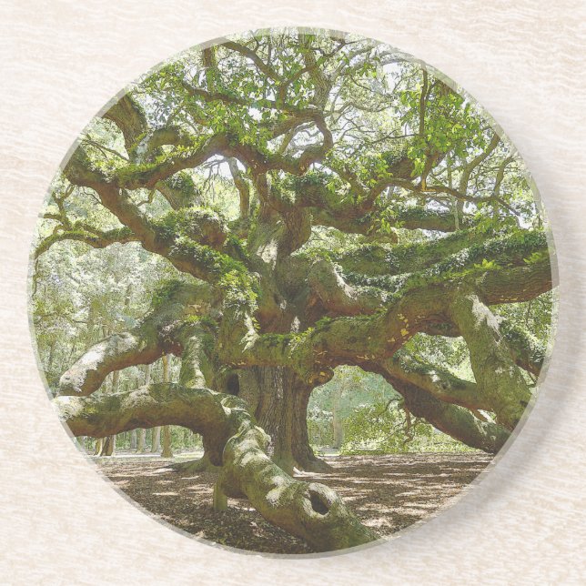 Posavasos De Arenisca Mighty Angel Oak (Frente)